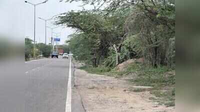 Cook found dead in woods behind Camelias, face smashed with 10kg stone