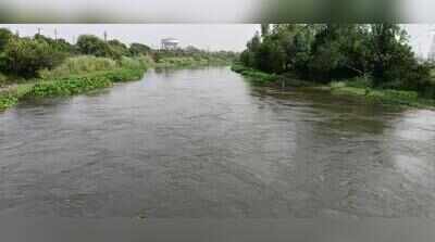 Hindon swells, GDA wants 7km wall near cricket stadium site GDA plans