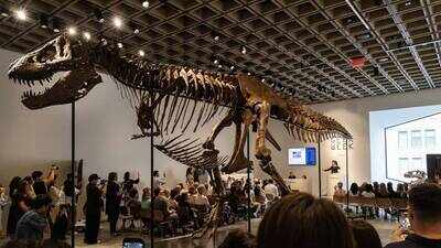 67-million-year-old T. rex fossil 'Gus' sold for record $50.1 million at Sotheby's auction, becomes world's most expensive dinosaur fossil