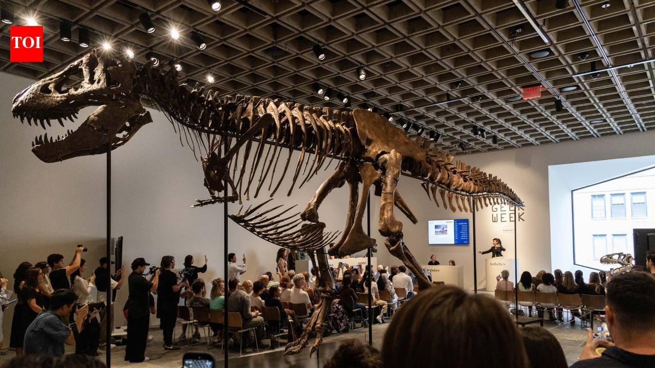67-million-year-old T. rex fossil 'Gus' sold for record $50.1 million at Sotheby's auction, becomes world's most expensive dinosaur fossil