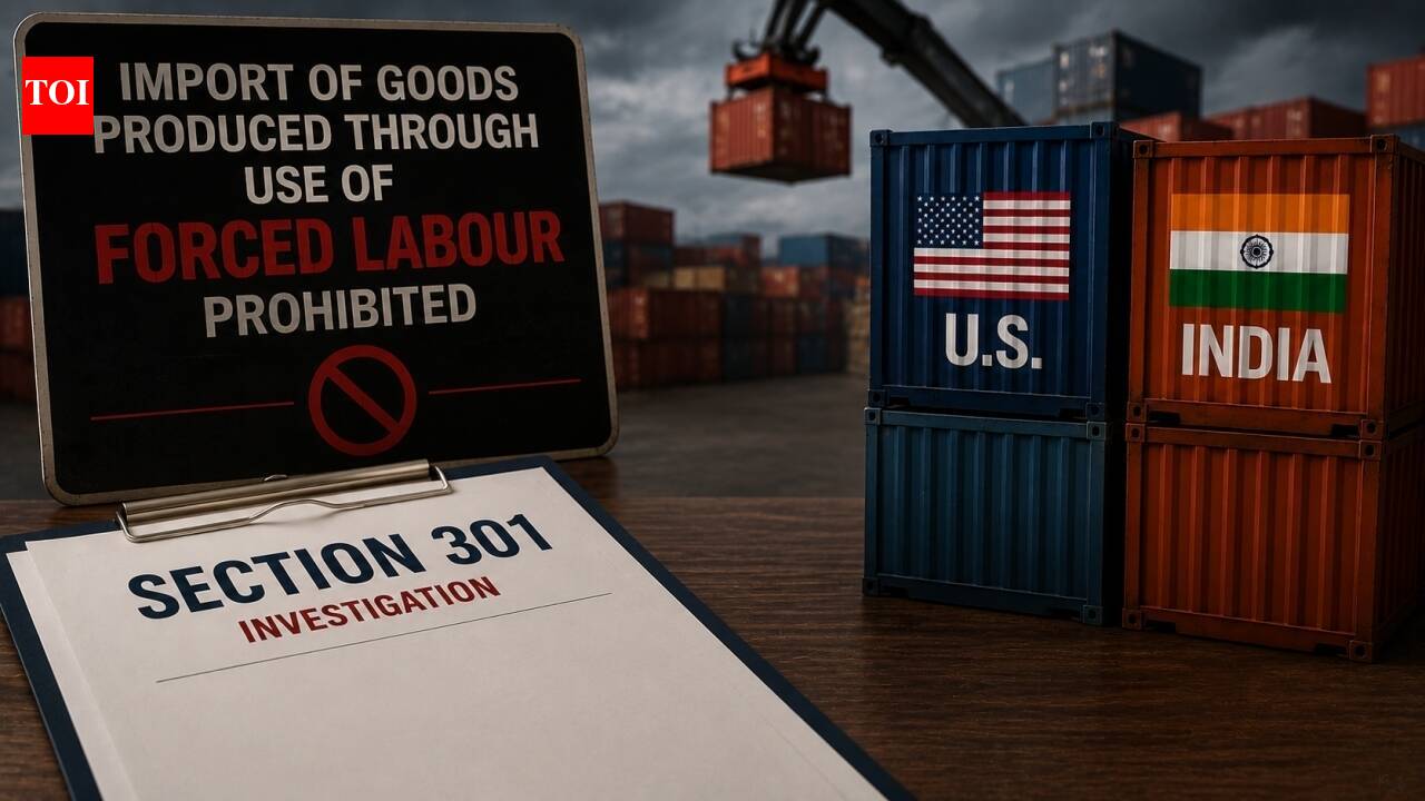 India moves to block imports linked to forced labour amid USTR probe