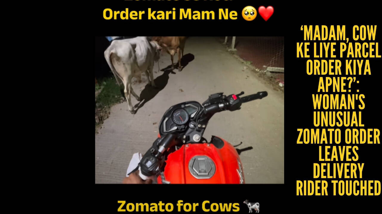 ‘Madam, cow ke liye parcel order kiya apne?’: Woman's Zomato order for three stray cows leaves delivery rider smiling
