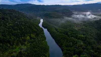 Rising heat leaves 57 million hectares of tropical forests unable to photosynthesise efficiently: Study