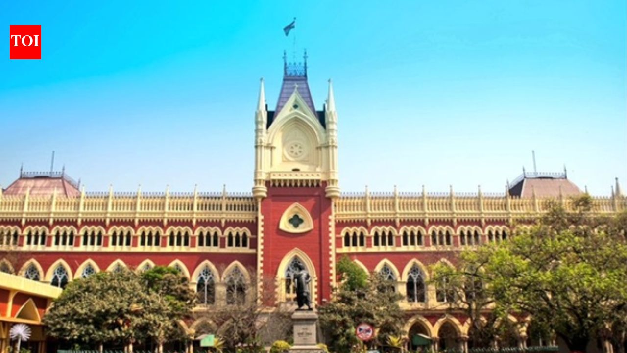 Calcutta HC allows Mamata Banerjee-led TMC faction to hold Martyrs' Day rally, shifts venue near Birla Planetarium