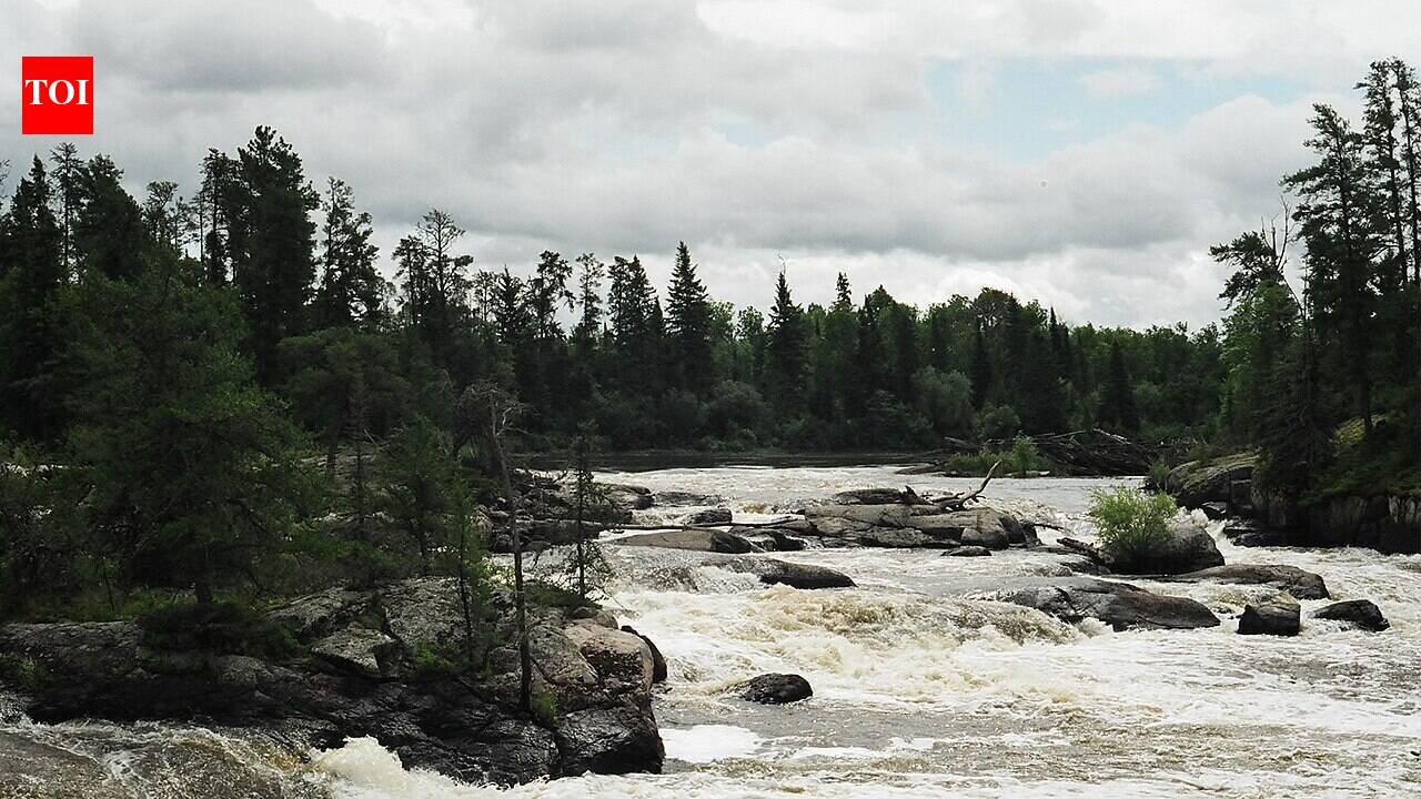 A chemical plant dumped mercury upriver from Grassy Narrows in the 1960s, and 2017 tests found downstream levels 130 times higher, raising fears the water was still being poisoned