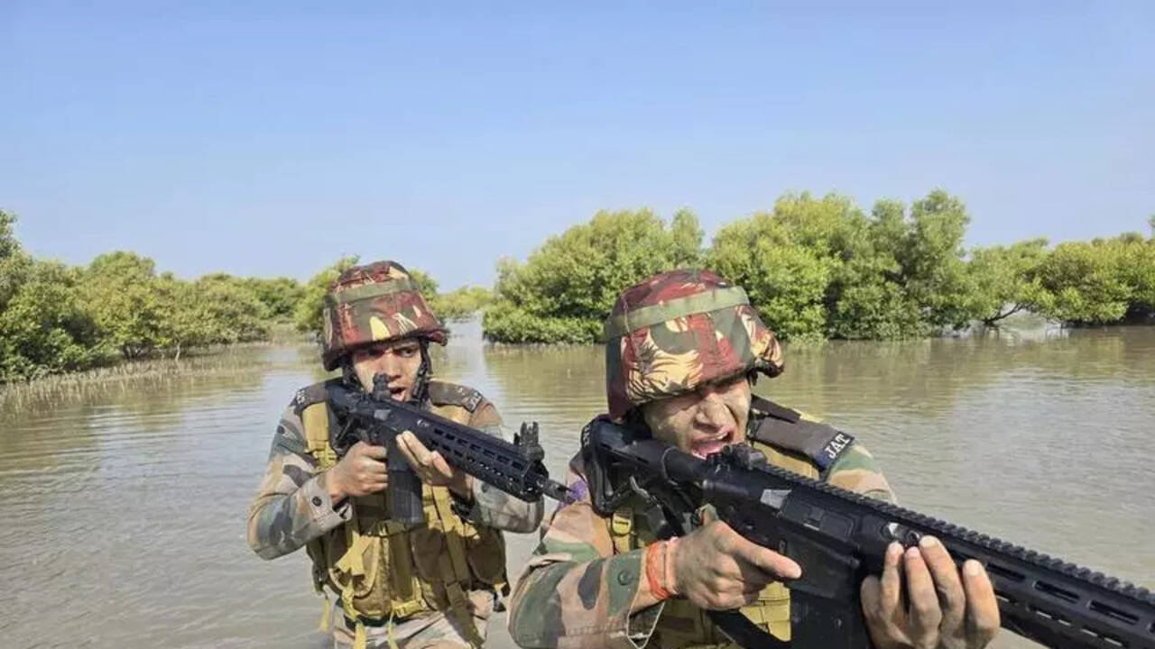 Why India needs amphibious combat boats against Pakistan - the unique challenges of Sir Creek