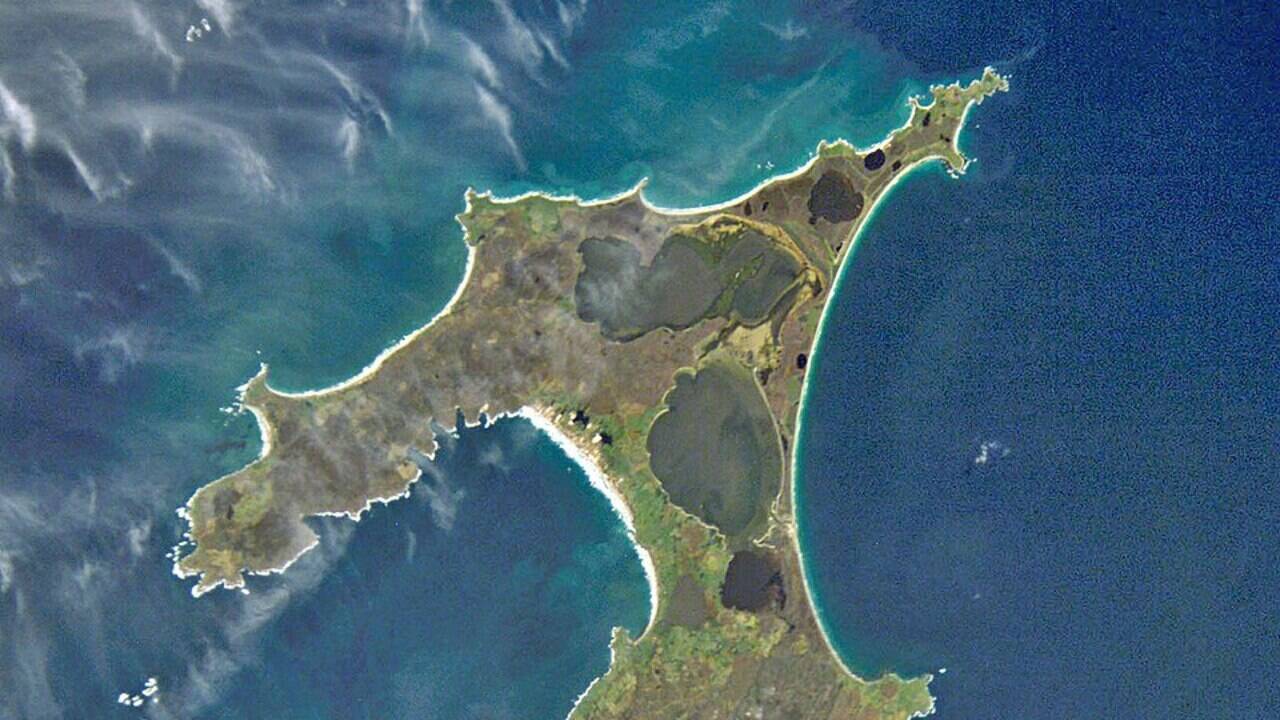 NASA captured a green halo around islands east of New Zealand, a summer phytoplankton bloom shaped by the underwater Chatham Rise