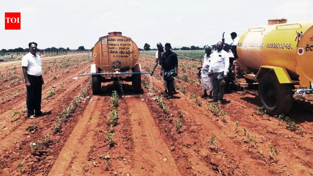 Farmers turn to tankers to save in Koppal’s pigeon pea belt