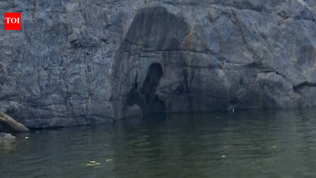 Hogenakkal’s Jaganmohini cave becomes visible as Cauvery water flow drops
