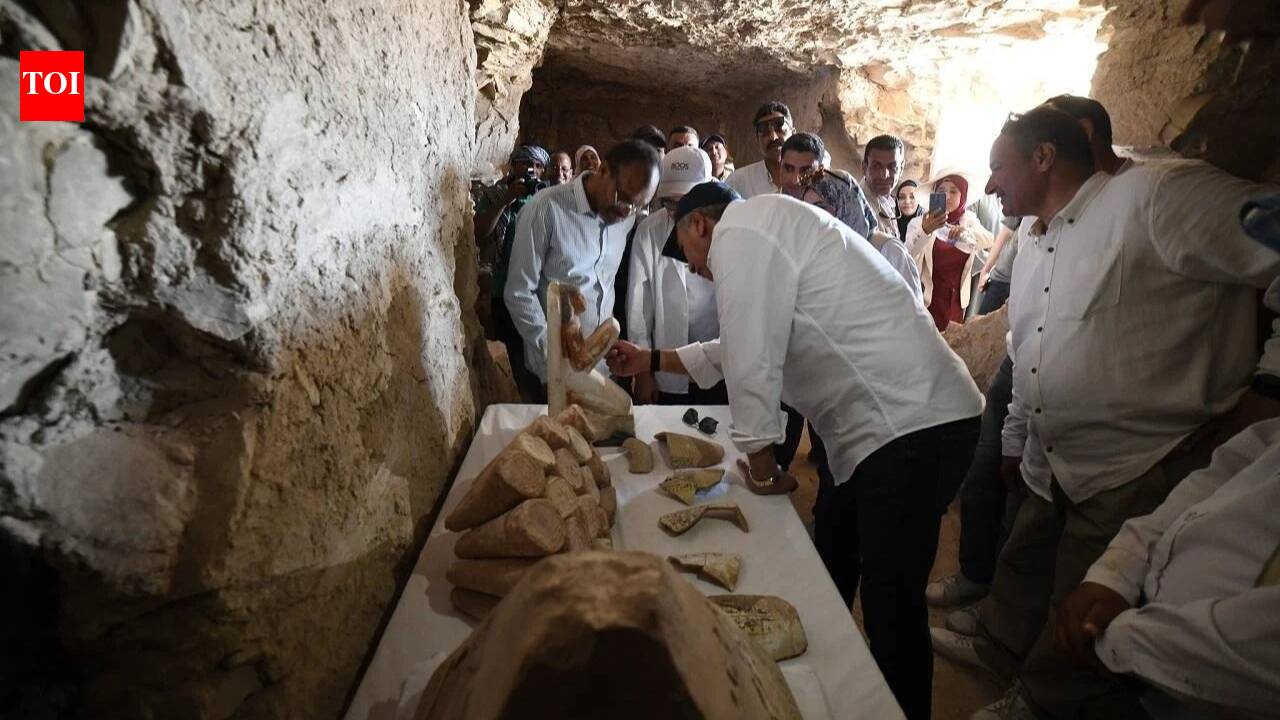 Digging beneath Luxor’s rubble, archaeologists found 10 painted coffins and more than 30 mummified cats, plus the tomb of a previously undocumented priest