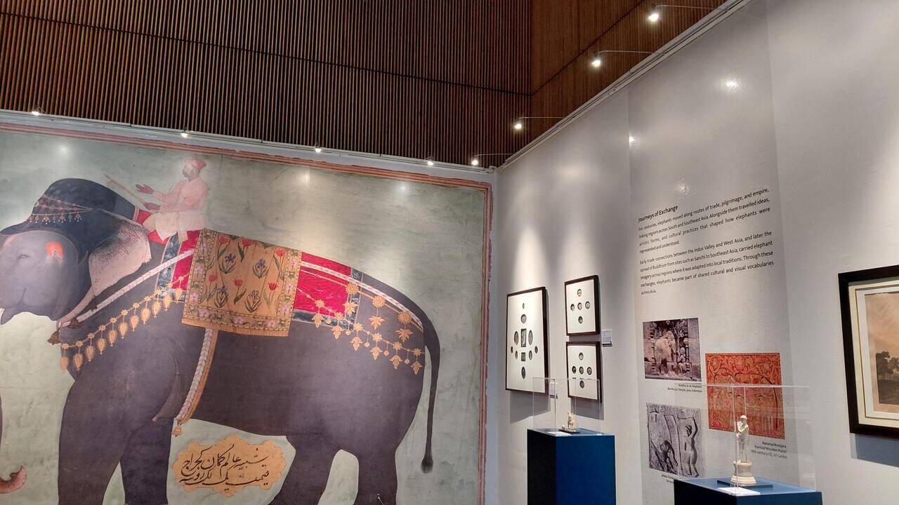 As human-elephant conflict grows, Gaja-Lok exhibition at Bihar Museum looks back at centuries of coexistence