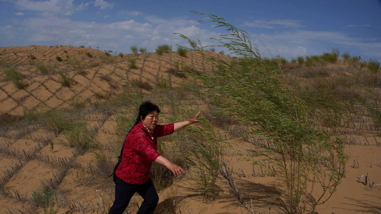 China’s straw grids are helping deserts shrink by over 1,000 sq km a year