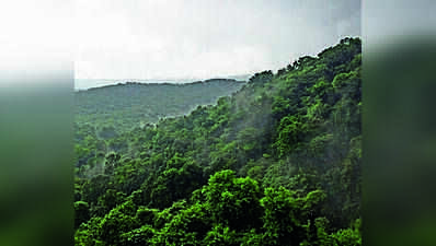 Bengal shrinks Mahananda sanctuary eco-sensitive zone from 5km to 1km