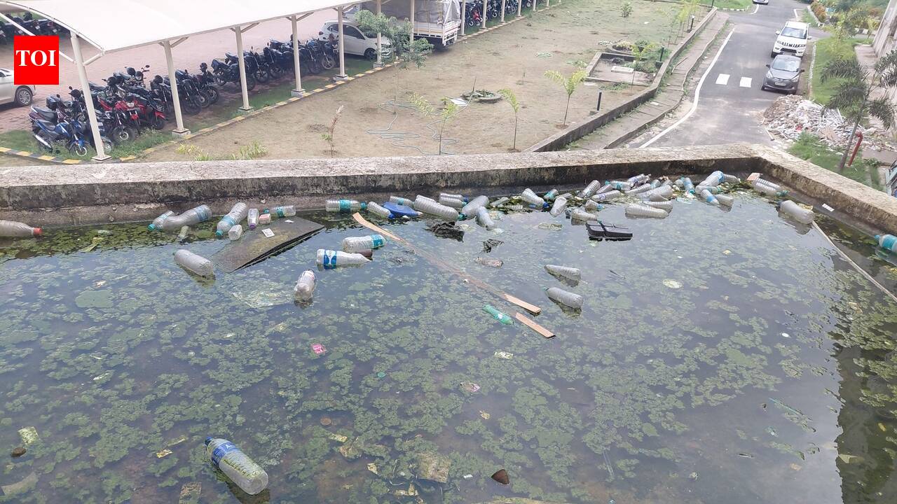 Stagnant water near Dhanbad DC office sparks dengue fear