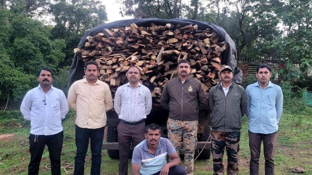 Forest dept detains 2 for illegal transport of timber