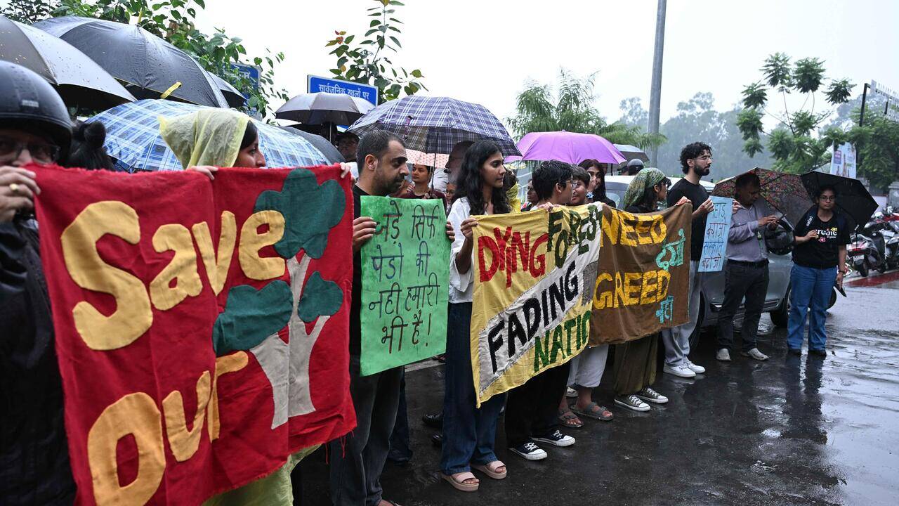 ‘Black Harela' protest against Shivalik tree-felling