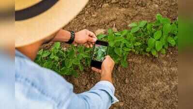 AI leaf scanner to spot crop diseases before they spread