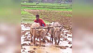 Goa govt to ensure compensation for crop losses due to scanty rainfall: Sawant