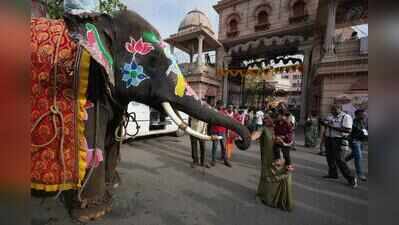 Ahmedabad police issue advisory: Keep children close during rath yatra, avoid rumours