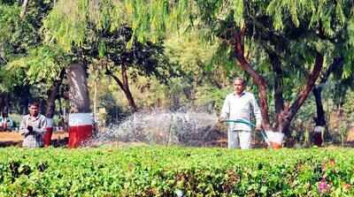 Gujarat: Sensory garden scheme to make urban parks disability-friendly