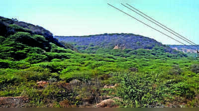 Centre seeks removal of forest encroachment before warehouse project