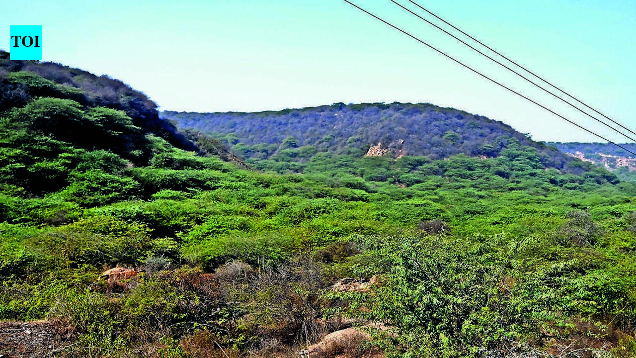 Centre seeks removal of forest encroachment before warehouse project
