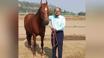 Pune vets use 60 vials of antivenom to save pregnant mare after deadly Russell’s viper bite
