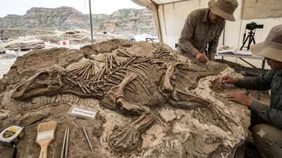 China's 125-million-year-old dinosaur fossil reveals preserved skin, strange spikes and a previously unknown species