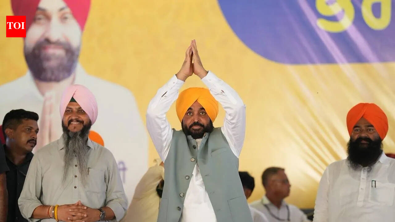 Punjab Congress divided as every leader wants to be CM: Mann