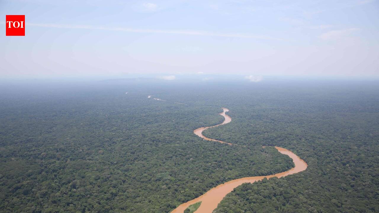 Congo Rainforest Regrowth: Rapid Recovery Yet Missing Old-Growth Ecosystem Structure