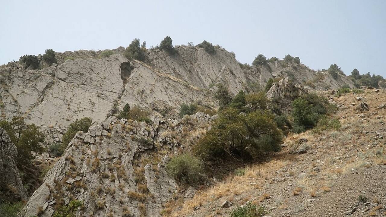 In northern Italy, 210 million-year-old dinosaur footprints cover a national park, revealing secrets that astonished scientists
