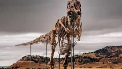 A 67-million-year-old T. rex discovered on a South Dakota ranch has sold for $50.1 million, becoming the most expensive dinosaur fossil ever auctioned