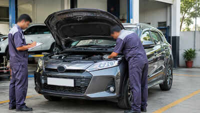 E20 fuel row: Consumer court orders auto giant to replace 'defective' car or refund full cost