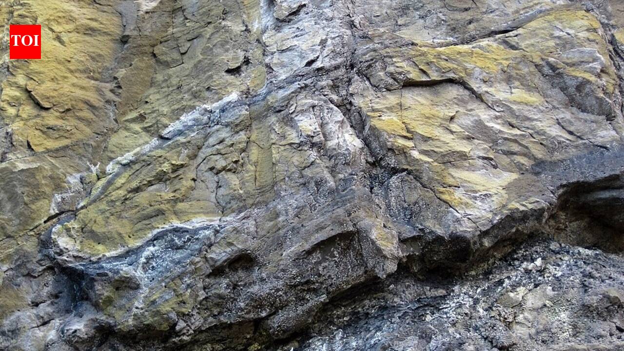 Meet Oklo: Around 2 billion years ago, nature built Earth's only known self-sustaining nuclear reactor- no humans required