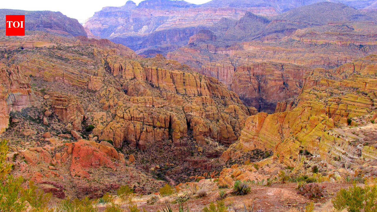 For years, an Arizona man allegedly lived illegally in Tonto National Forest for reasons still unknown: Rangers found 1,000 pounds of trash