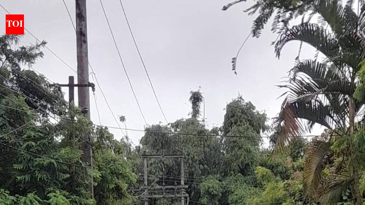 Deluge in Tinsukia pushes administration to open 24x7 control room