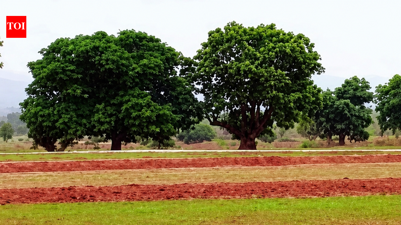 Hazaribag CO, revenue staff booked in alleged multicrore land fraud case