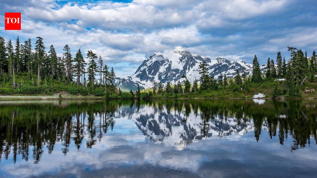 How to protect yourself around dangerous North American wild animals: Essential safety tips for your national park visit