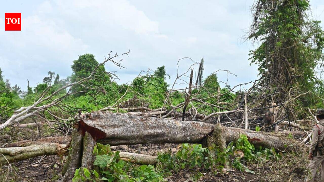 Survey shows encroachment & destruction across nearly 400 hectares of Behali RF, govt ups security
