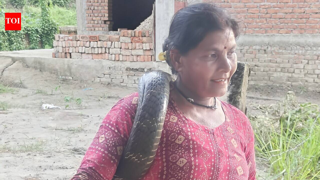 ‘Snake Lady’ out of danger after king cobra bite