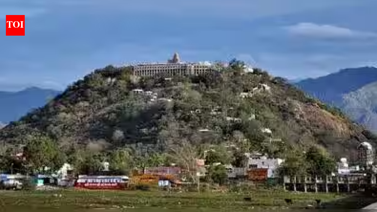 Tamil Nadu govt forms three-member panel to probe Palani mutt land registration irregularities