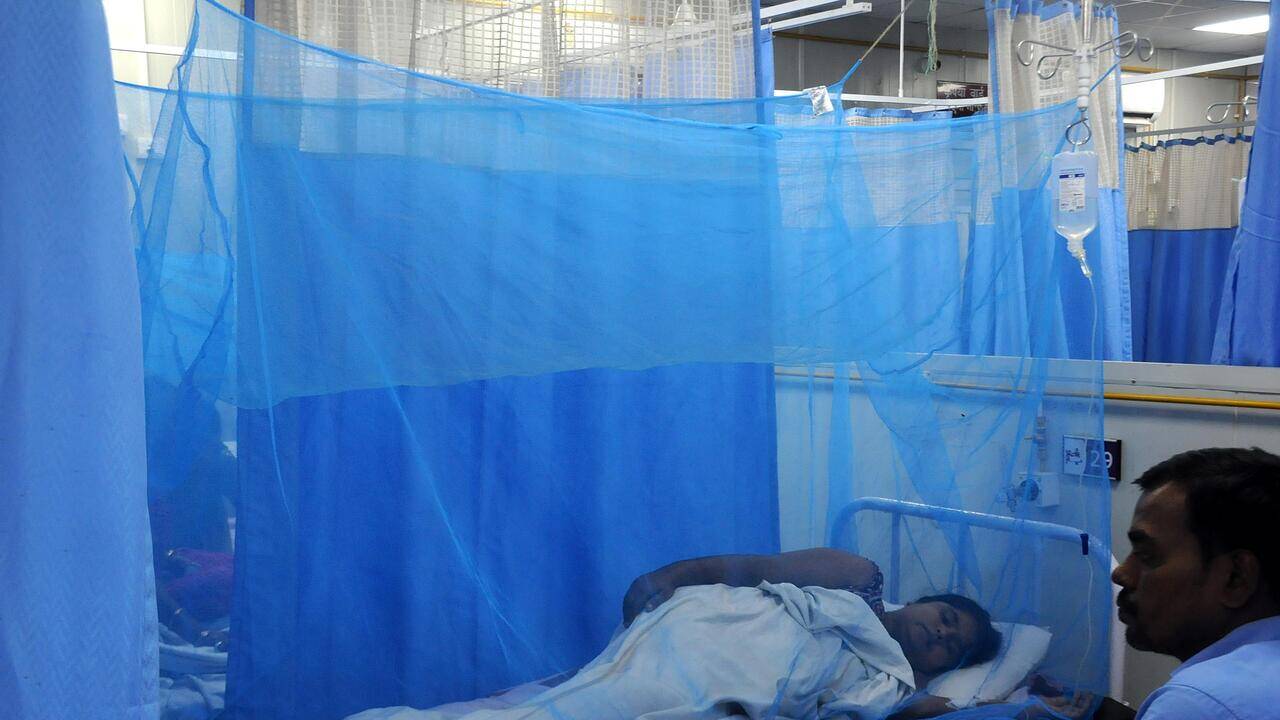 PMCH sets up 20-bed dengue ward as govt intensifies prevention campaign
