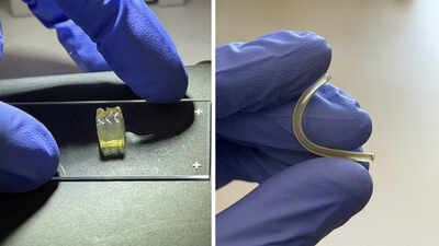 Scientists create liver and kidney tissues in space for the first time in a microgravity environment: Expected to change the future of biological manufacturing