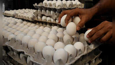 Wholesale egg prices touch record Rs 780/100 pieces, retail hits all-time high of Rs 120 per dozen in Mumbai