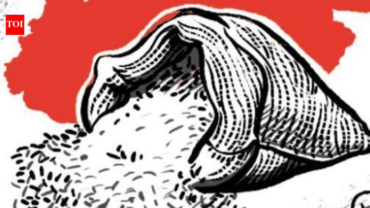 PDS rice meant for poor seized en route to Maharashtra