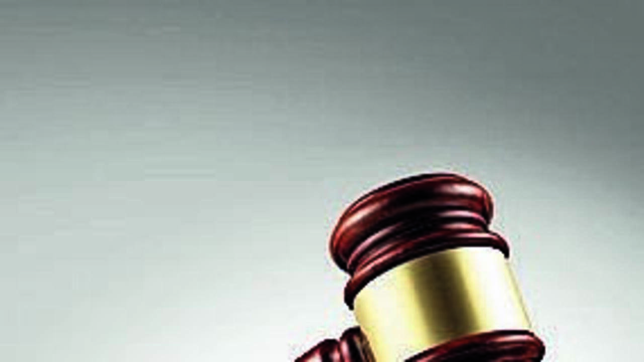 HC seeks report on facilities at govt schools in 12 districts
