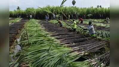 Govt extends aid scheme for Sanjivani sugar factory till Mar 2027
