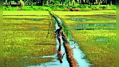 Kerala to get relaxation in agri funding