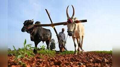 Redgram emerges as top contingency crop for Telangana