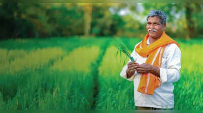 UP panel urges big push for organic manure infrastructure amid fertiliser price rise